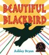 Beautiful Blackbird Hot on Sale