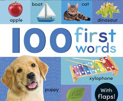 100 First Words: My First Lift and Look (with Flaps) Online Sale