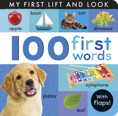 100 First Words: My First Lift and Look (with Flaps) Online Sale